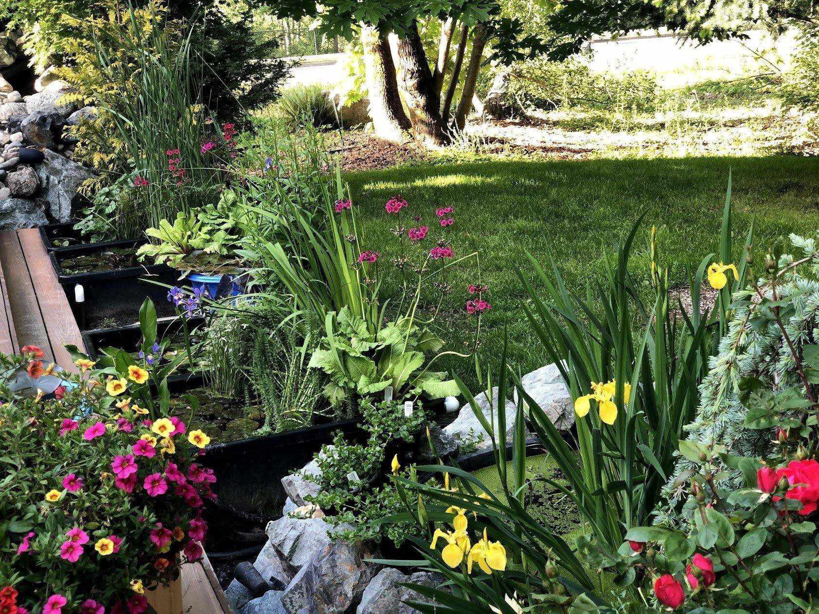 Globalnestes - Bare Root Plants Planting Instructions - Globalnestes