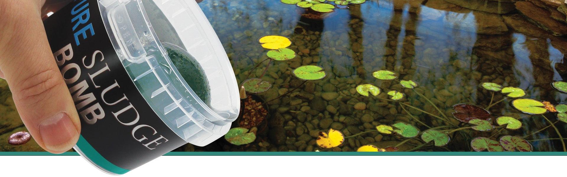 Evolution Aqua Pure Sludge Bomb - Globalnestes