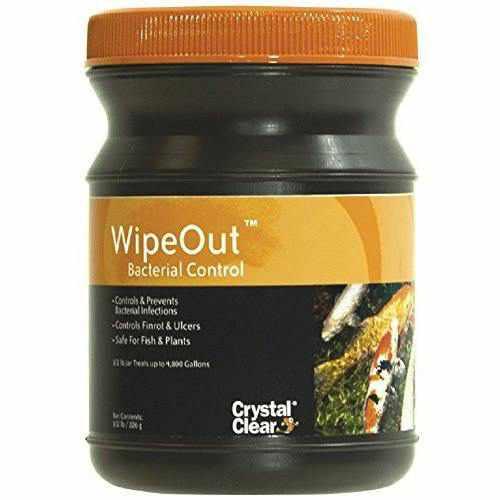CrystalClear WipeOut - Bacterial Control 8 oz - Globalnestes