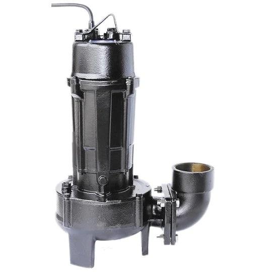 ShinMaywa CVC Series - Single Phase Pump, 2HP - Globalnestes