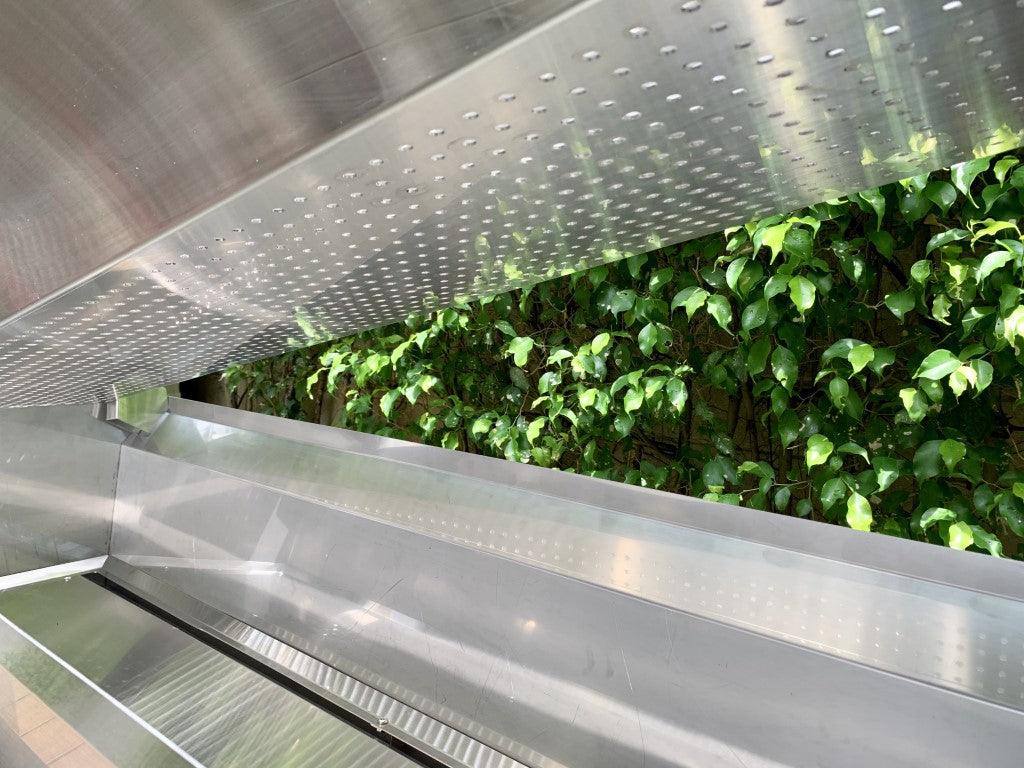 Shower Filter - Stainless Steel | FREE Drum Filter - Globalnestes