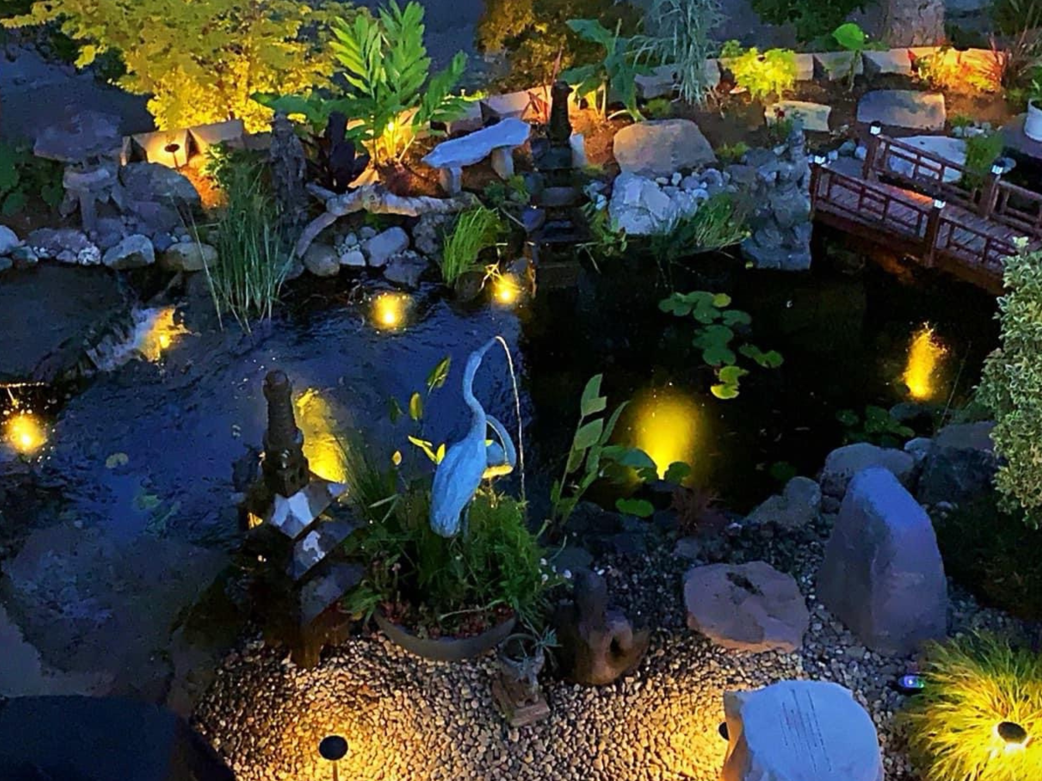 Customer Corner: Ashly Berg's Pond in Burien, Washington.