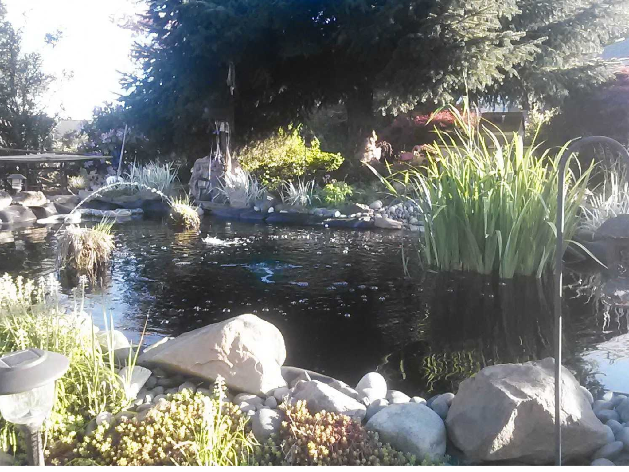 Customer Corner: The Great Dig: One Man's 4,000-Gallon Quest for Backyard Zen