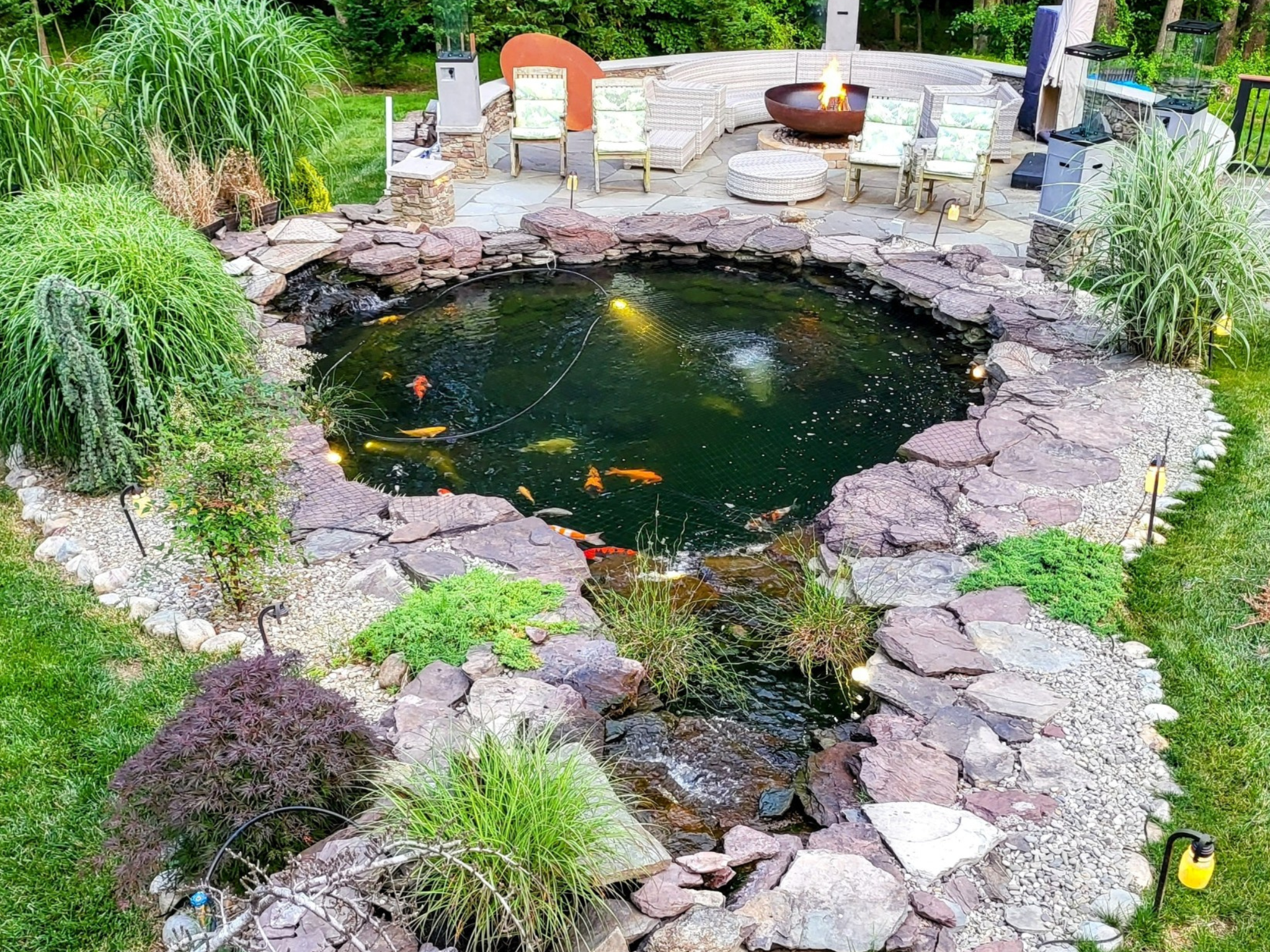 Customer Corner: Emerick’s Koi Journey in Upper Marlboro, Maryland.