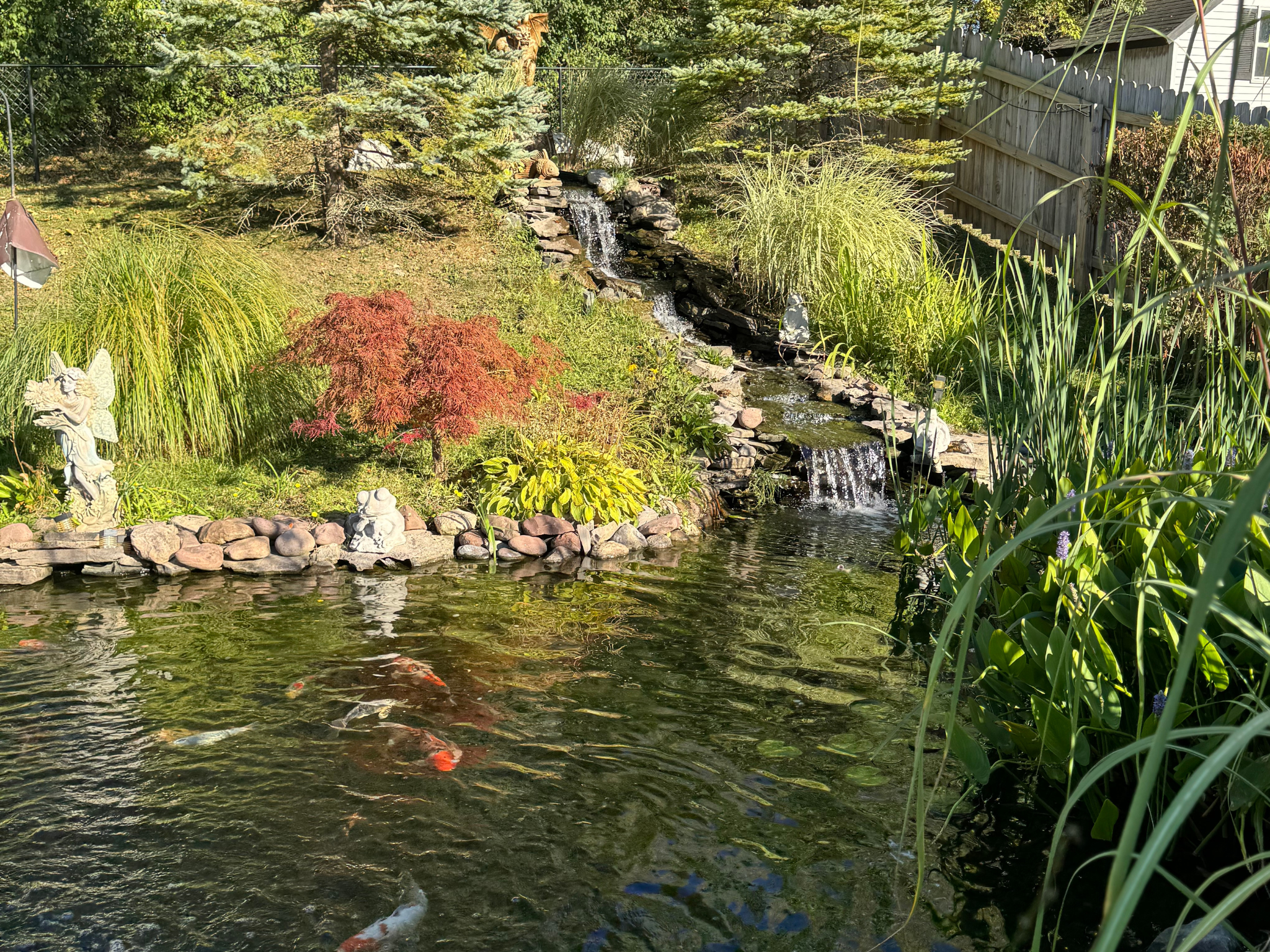 Customer Corner: Joe & Kelly Ostrowski’s Pond Journey in New York