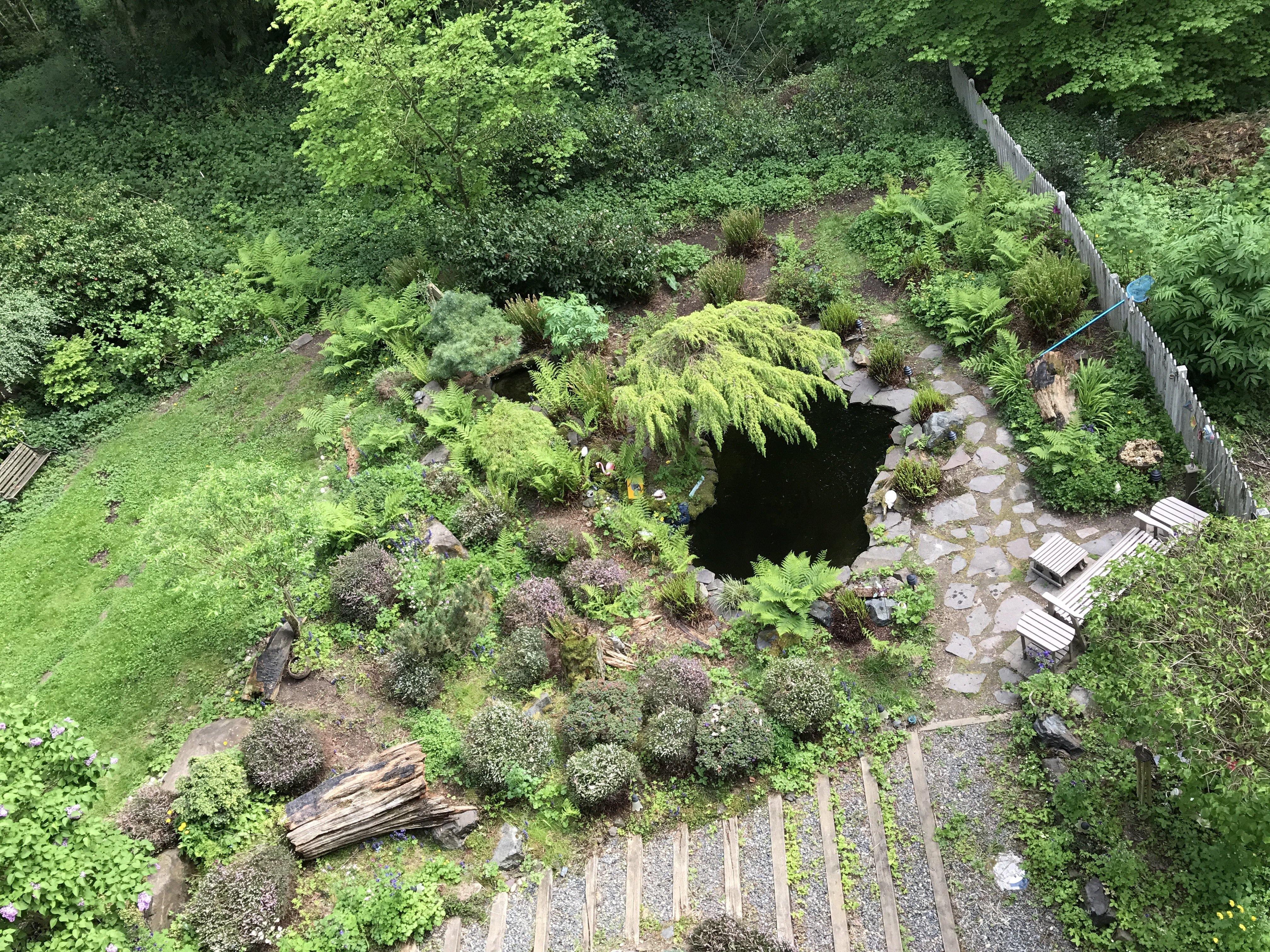 Article 03: The Pond Life - Planning the Main Pool, by Jeff Richardson - Globalnestes