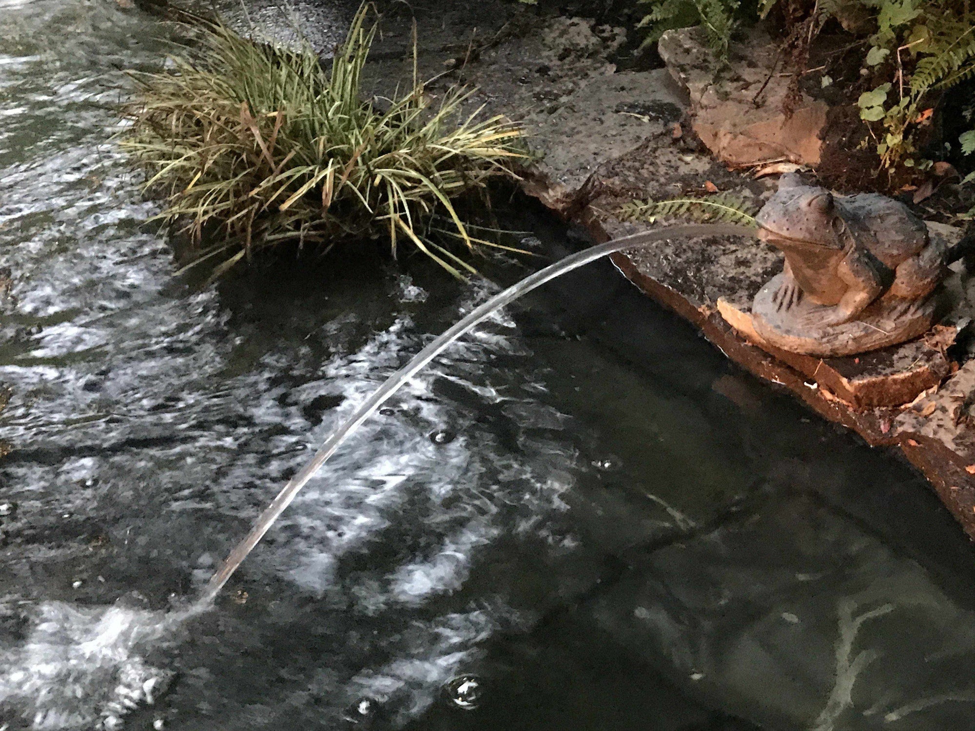 Article 24: Pond Gear – Aesthetic Elements, by Jeff Richardson - Globalnestes