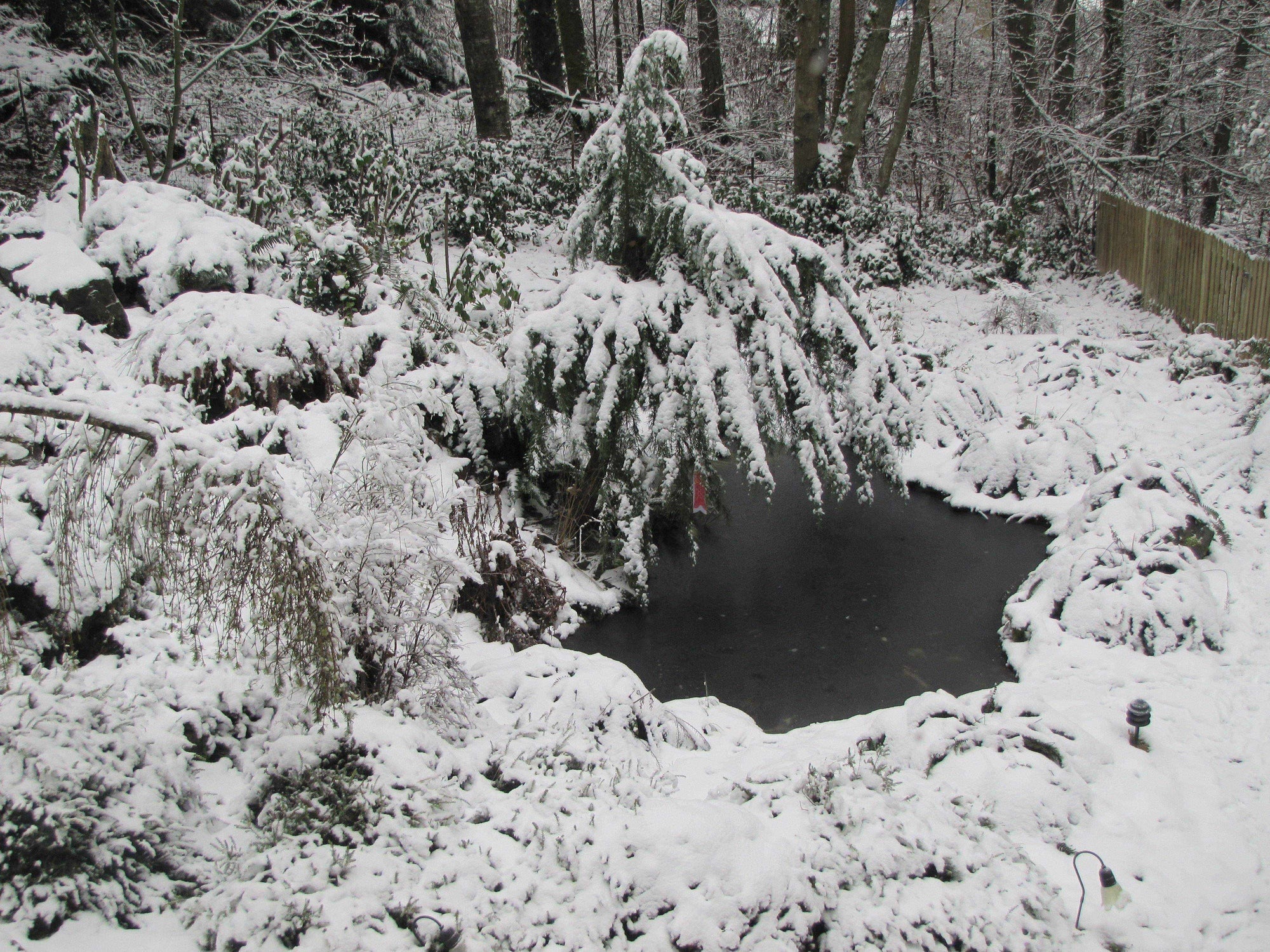 Article 34: Annual Pond Care – Weather and Climate, by Jeff Richardson - Globalnestes