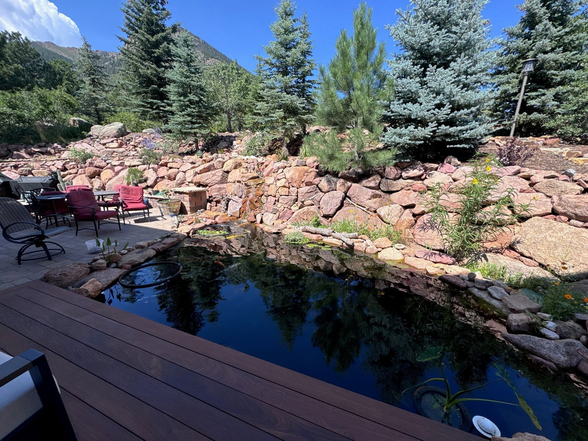 Tim's Dream Pond: A DIY Journey to a Natural, Flourishing Ecosystem