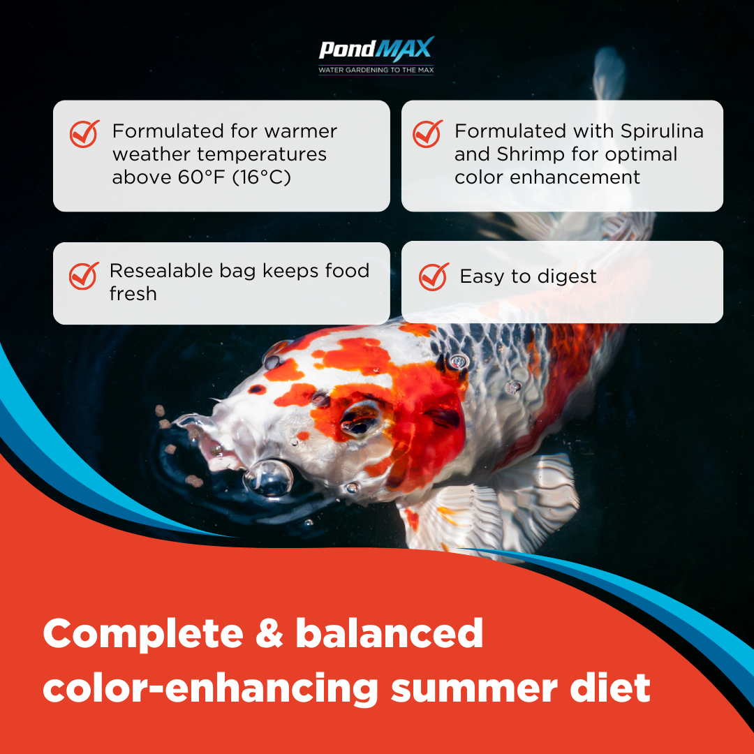Advertisement for PondMAX fish food with a colorful fish in an aquarium.