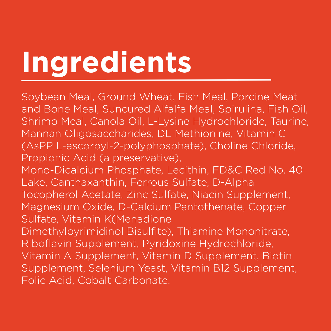 List of ingredients on a red background