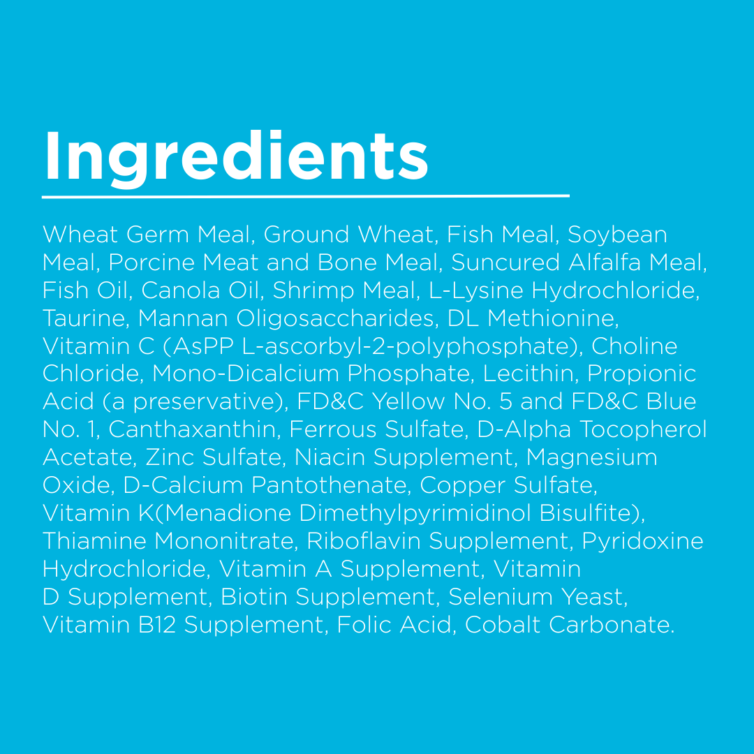 List of ingredients on a blue background