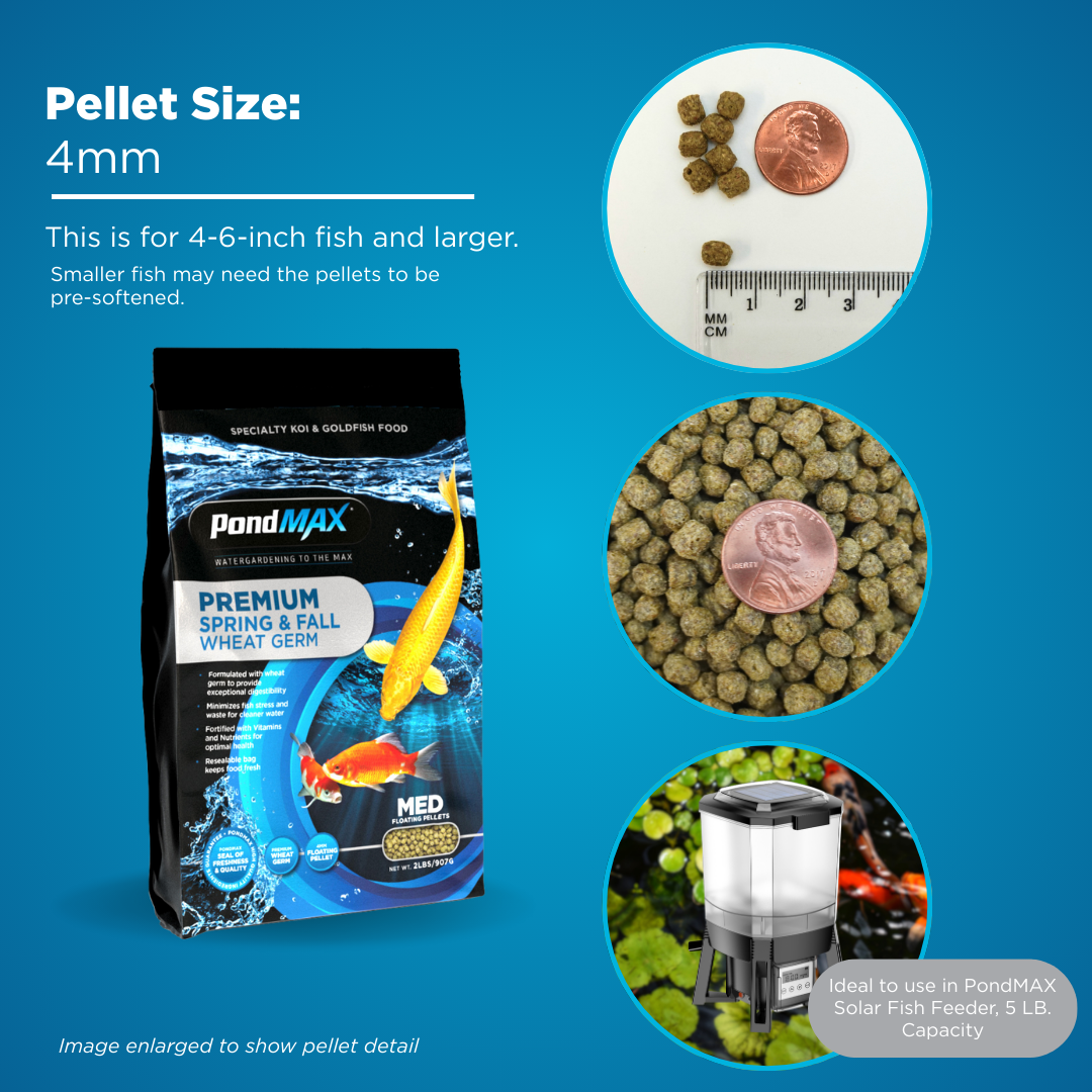 PondMAX premium fish food package with pellet size information on a blue background
