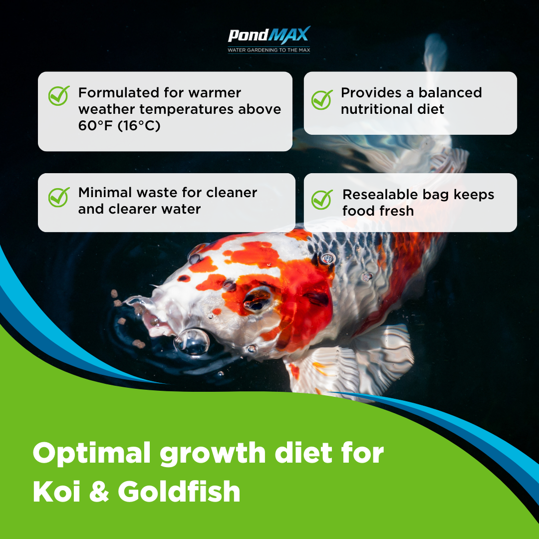 Advertisement for pondMAX fish food with a Koi fish in the background