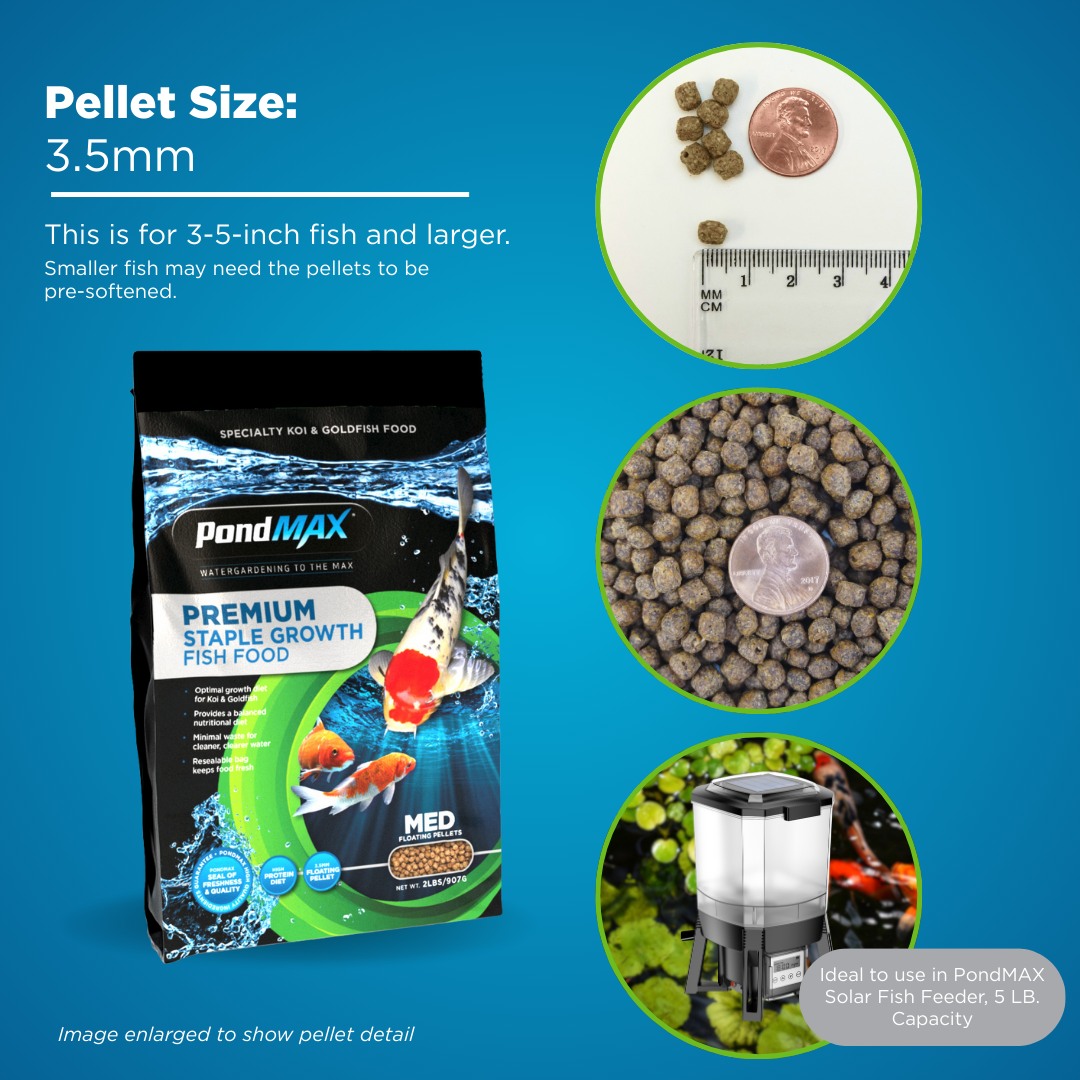 PondMAX fish food packaging with pellet size information on a blue background
