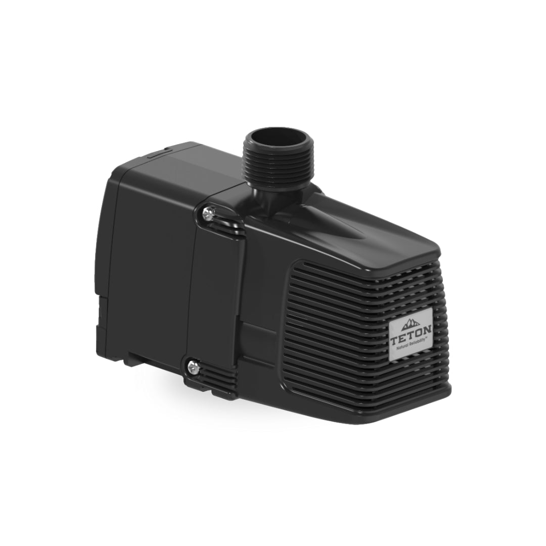 Black Teton pump on a white background