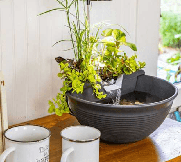AquaGarden Tabletop Fountain Kit - Globalnestes
