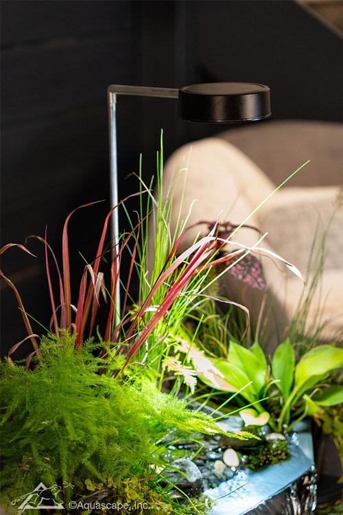 Aquascape AquaGarden Plant Light - Globalnestes
