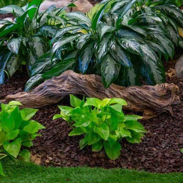 Aquascape Faux Driftwood - Globalnestes