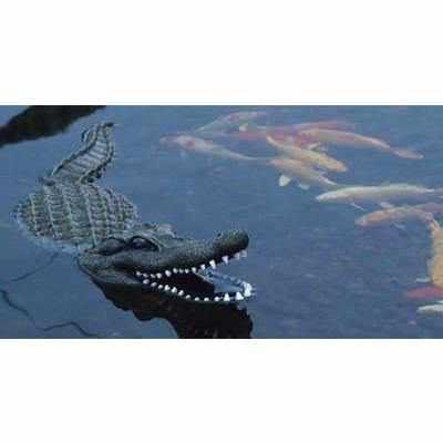 Aquascape Floating Alligator Decoy - Globalnestes