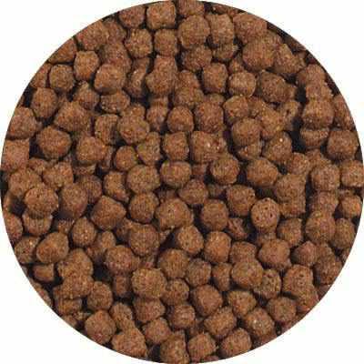 Blue Ridge Growth Large Pellet Formula Koi & Goldfish Food - Globalnestes