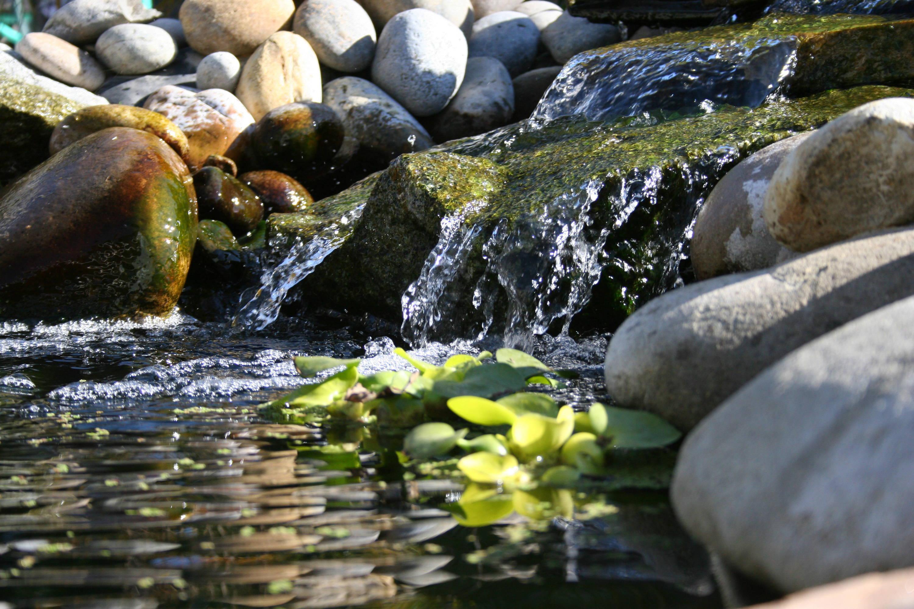 Blue Thumb Elite Pond Kits - Globalnestes