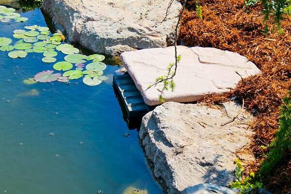 Blue Thumb Elite Series External Pond Skimmers - Globalnestes