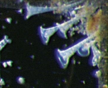 Evolution Aqua K+ Advanced Filter Media - Globalnestes