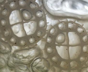 Evolution Aqua K+ Advanced Filter Media - Globalnestes