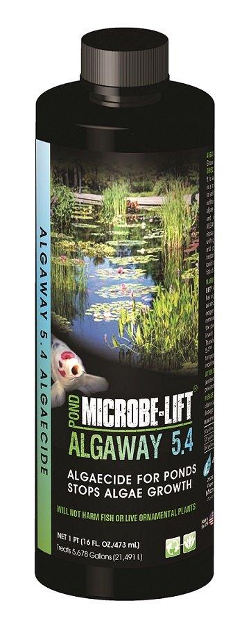 Microbe-Lift Algaway 5.4 Algaecide - Globalnestes