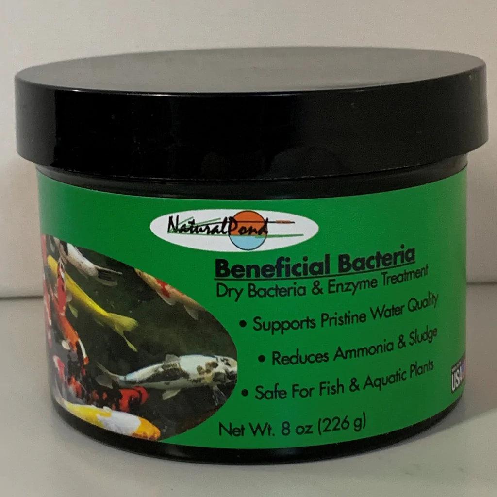 NaturalPond Beneficial Bacteria - Dry - Globalnestes
