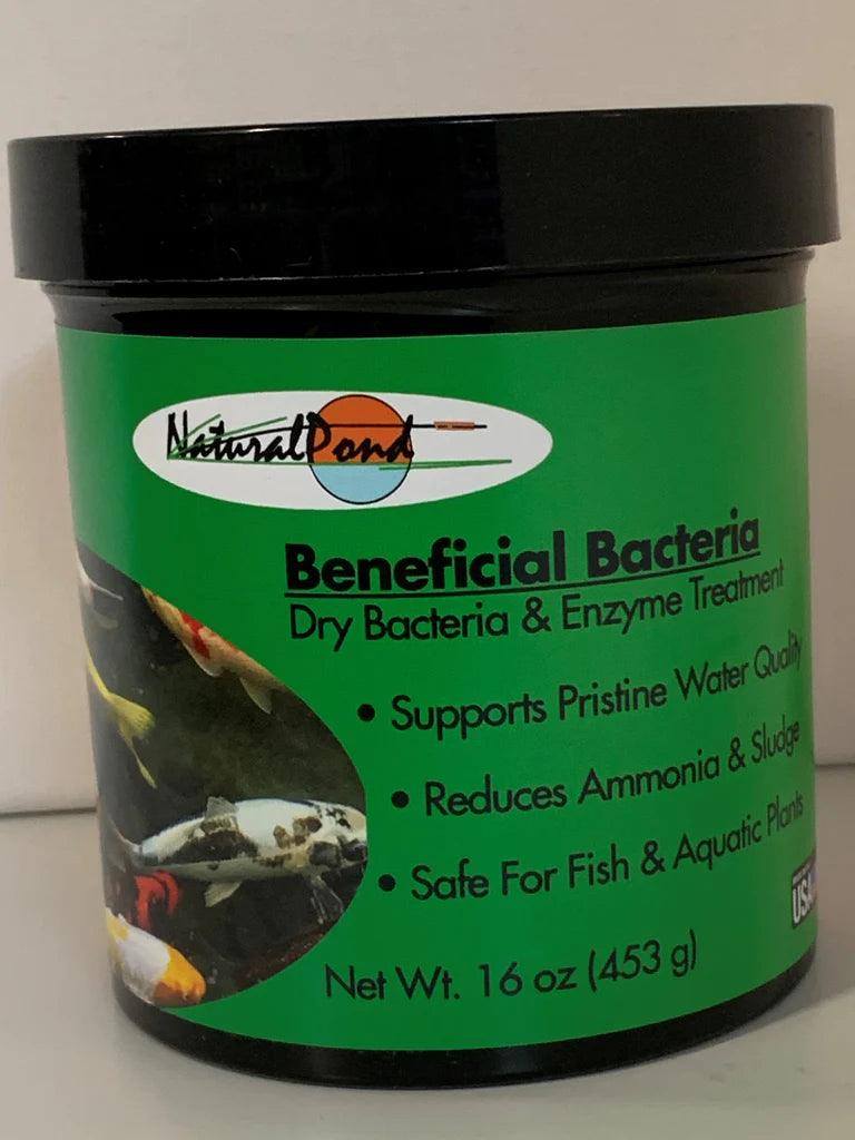 NaturalPond Beneficial Bacteria - Dry - Globalnestes