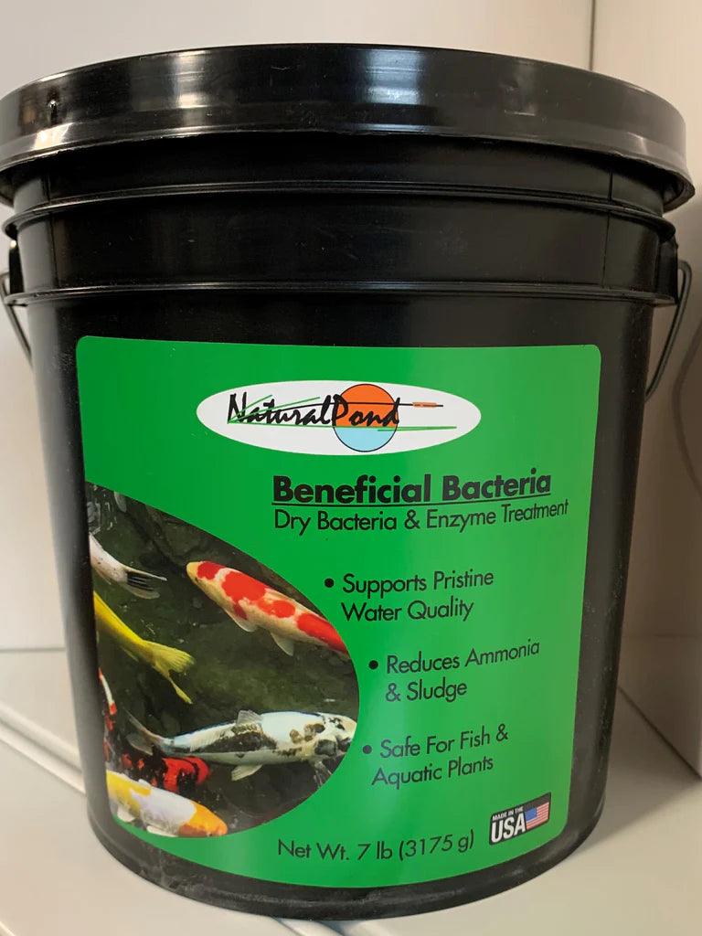 NaturalPond Beneficial Bacteria - Dry - Globalnestes