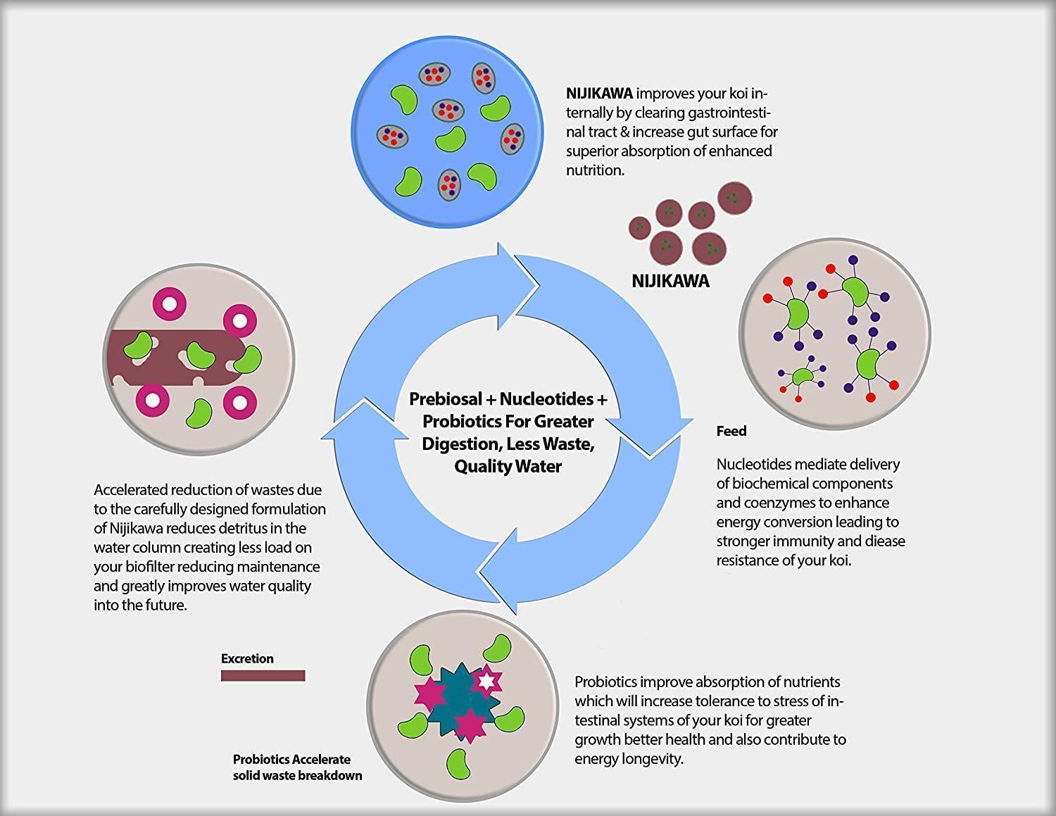 Nijikawa Color Genesis Premium Koi Food - Globalnestes