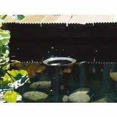 OASE Pond Skimmers - Globalnestes