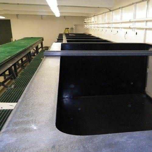 Pond Armor Non-Toxic Pond Shield Epoxy Paint - 1.5 Quart Black - Globalnestes