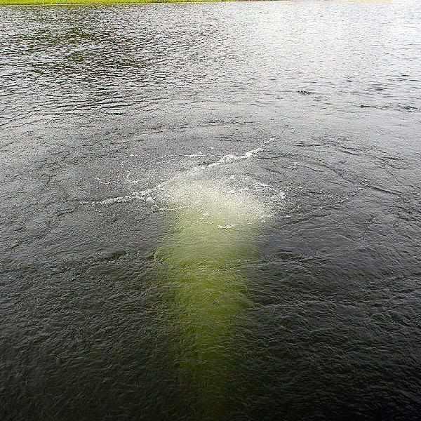 Scott Aerator Bubble Pro Sub-Surface Aerator - Globalnestes