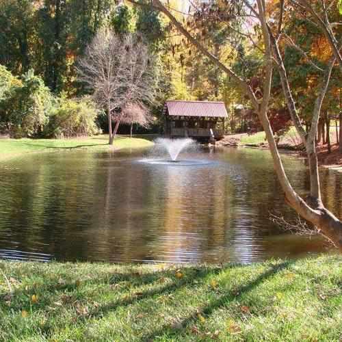 Scott Aerator DA-20 Display Aerator, 1/2 HP - Globalnestes