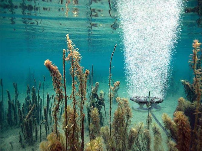 Scott Aerator Solar Sub-Surface Aerator - Globalnestes