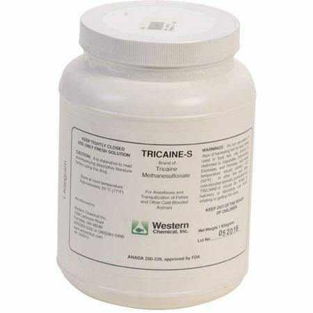 Syncaine (Tricaine-S) (MS 222) Fish Anesthetic - Globalnestes